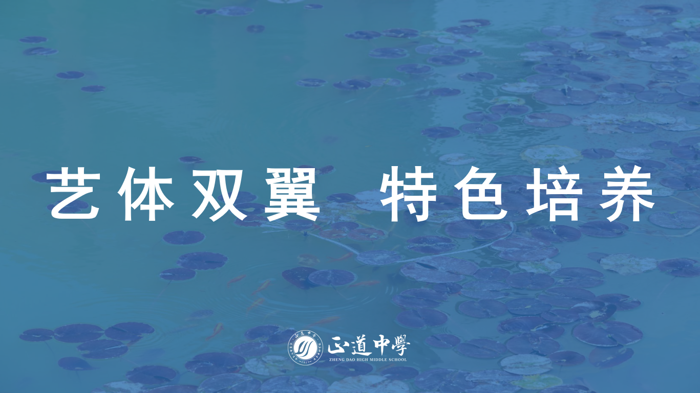 藝術(shù)、體育成績